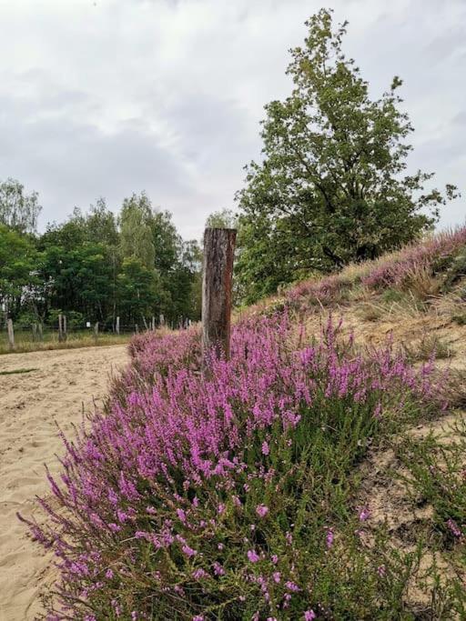 Fewo Am Bienenstock in Dallgow-Döberitz Exterior foto