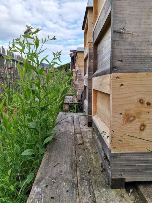 Fewo Am Bienenstock in Dallgow-Döberitz Exterior foto