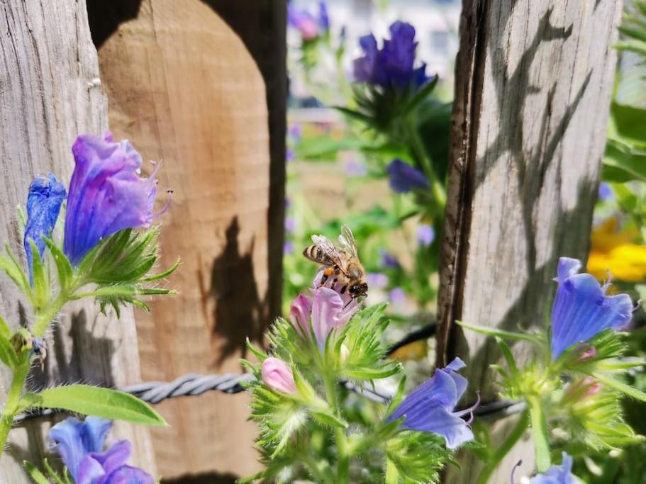 Fewo Am Bienenstock in Dallgow-Döberitz Exterior foto